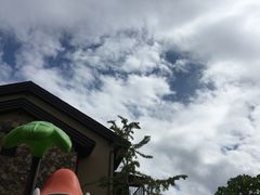 -浙江安吉JW万豪酒店·万豪中餐厅