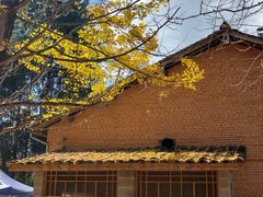 -腾冲国萍农家乐