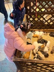 点击看大图 -酷嗒动物文化乐园(cutezoo西溪乐天城店)