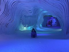 -世界之窗阿尔卑斯冰雪世界