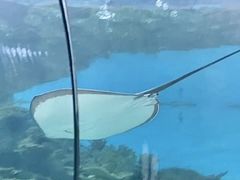 -福州罗源湾海洋世界旅游区
