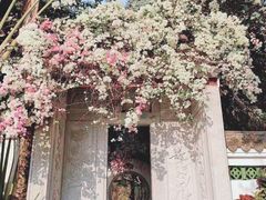 -深圳国际园林花卉博览园