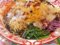 关东大拉皮-闯关东东北农家菜(崂山石老人店)