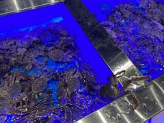 -SEA西雅图海鲜自助餐厅(海乐世界店)