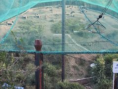 -青藏高原野生动物园