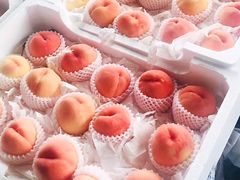 -江杨农产品批发市场