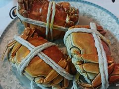 -黄记大闸蟹专卖店·活蟹·醉蟹