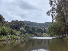 -深圳仙湖植物园