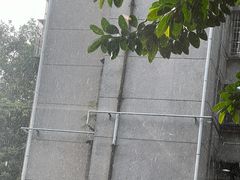 -东山茶寮(新安店)