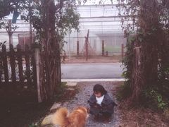 -前小桔亲子创意农场·草莓采摘·露营烧烤