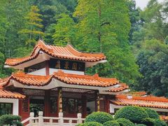 -深圳仙湖植物园