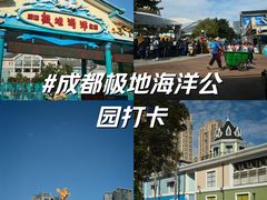 -海合安成都极地海洋公园