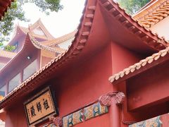 -深圳仙湖植物园
