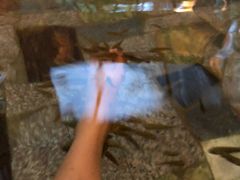 -宁海森林温泉