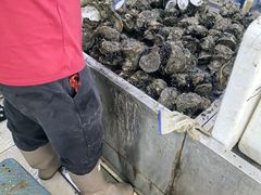 -板桥海鲜广场(文明东店)