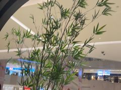 -羲和雅苑•北京烤鸭(乐园道万象城店)