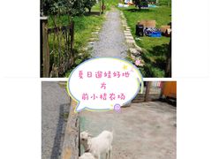 -前小桔亲子创意农场·草莓采摘·露营烧烤