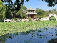 -莲池书院博物馆