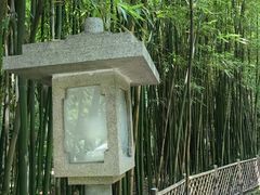 -广州兰圃