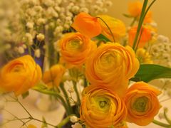 -双季花艺园艺市场(浦东店)