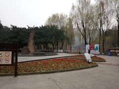 -温江公园