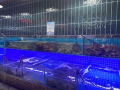 -海韵之星邮轮水会(明发商业广场店)