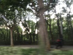 -华东政法大学(松江校区)