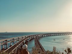 -星海湾跨海大桥