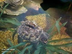 -沈阳海洋探索中心