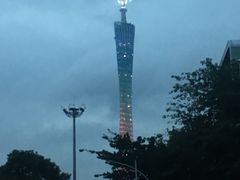 -广州都市观光巴士(粤陶巴)