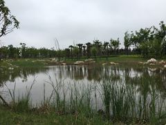 -春花秋色城市公园