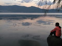 -才村湿地公园