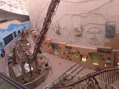 -陕西自然博物馆