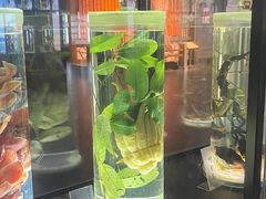 -广东中医药博物馆