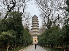 -灵谷景区
