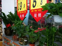-大润发(国兴店)