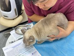 -芭比堂动物医院·CT·微创中心(新顺分院)