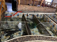 -缘福乡村铁锅炖民宿(八达岭店)