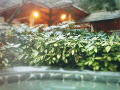 -黄山温泉国际旅游度假区