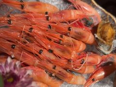 -匠和风精致料理(宁德万达店)