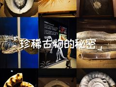 -中华赏石园