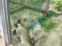 -哈尔滨北方森林动物园