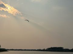 -丁香湖公园