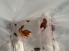 -王裕興肉莊(南禅寺店)