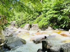 -青峰峡国家森林公园