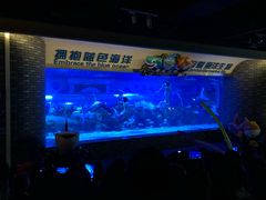 -成都浩海立方海洋公园
