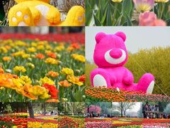 -北京国际鲜花港