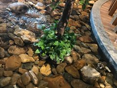 景观位-小城粥道·海胆鲜虾粥(解放广场店)