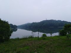 -福建鲤鱼洲酒店