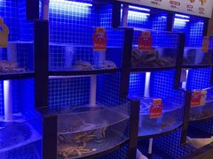 -七欣天香辣蟹火锅(闵行浦江欢乐颂店)